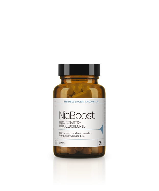 NiaBoost