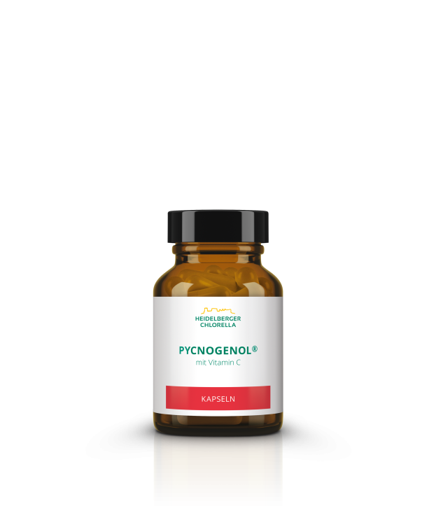 Pycnogenol® Kapseln online kaufen | Heidelberger Chlorella