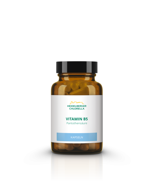 Vitamin B5 Pantothensäure Kapseln