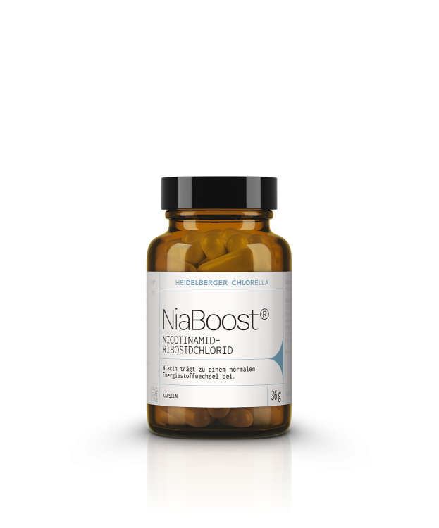 NiaBoost